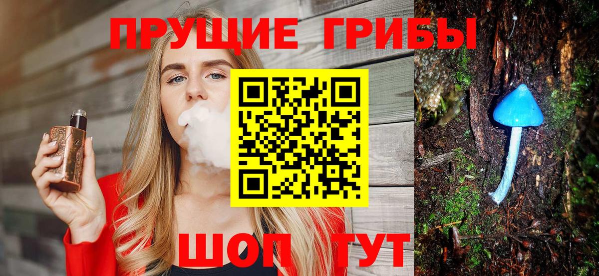 Галлюциногенные грибы Psilocybine cubensis  Вход с VPN  Семёнов 